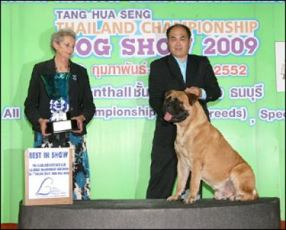 Th.Int.Mol.Rus.Rkf.Grand Ch. Meverick iz Mira Antallis