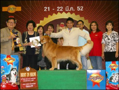 TH.CH.WYOMINGS TITAN HOLD LUKE DUKE LUKEY