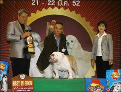 ENG.TH. GRAND CH. CAROZKEN CHARMER SEALAVILLE