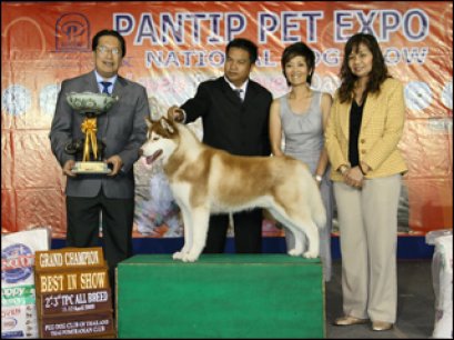 AM.TH.CH.KRISTARI'S KHALUA ON ICE