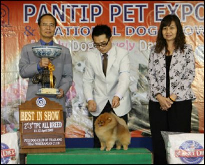 TH.CH.STARLIGHT'S DREAM COMES TRUE