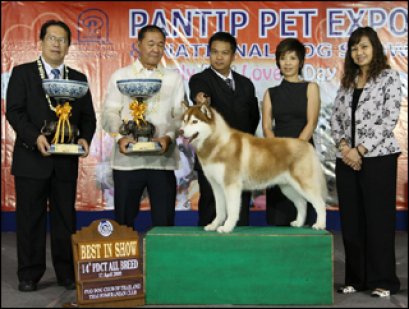 AM.TH.CH.KRISTARI'S KHALUA ON ICE