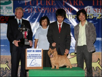 Am.Hung Th. Grand Ch.Devondale's Master Marmot Phil