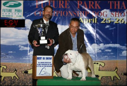 ENG.TH. GRAND CH. CAROZKEN CHARMER SEALAVILLE