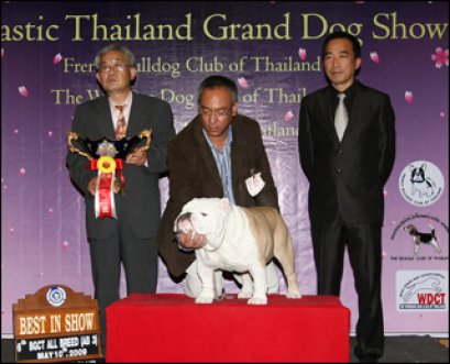 ENG.TH. GRAND CH. CAROZKEN CHARMER SEALAVILLE