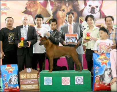 BISS.BIS.TH.GRAND CH.TAWAN NAMFAH DAENG-PLUANG@SIAM