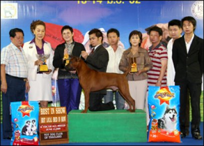 BISS.BIS.TH.GRAND CH.TAWAN NAMFAH DAENG-PLUANG@SIAM