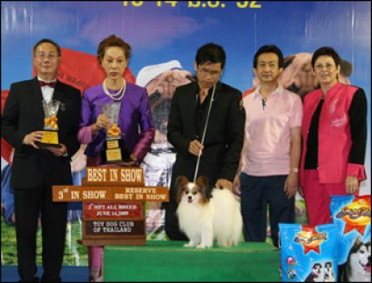 Am.Swe.Jkc.Th.Ch.Queen Bless JP Mad Max