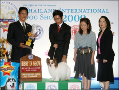 Am.Swe.Jkc.Th.Ch.Queen Bless JP Mad Max