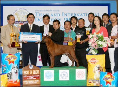 BISS.BIS.TH.GRAND CH.TAWAN NAMFAH DAENG-PLUANG@SIAM