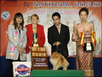 Th.Am.Ch.Powerpom Cold Mountain