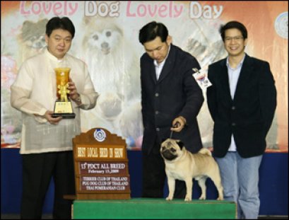 Th.Ch.Woodstock un.,ltd Woodsman Parade