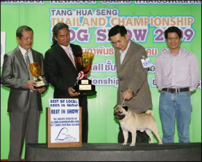 Th.Ch.Woodstock un.,ltd Woodsman Parade