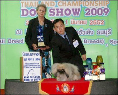 Sw's Landslide Victory