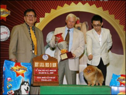 TH.CH.STARLIGHT'S DREAM COMES TRUE