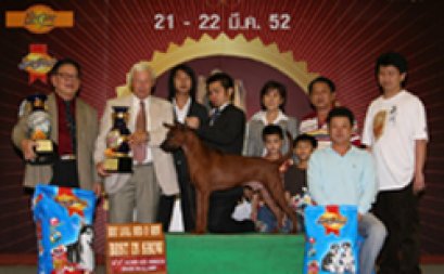 BISS.BIS.TH.GRAND CH.TAWAN NAMFAH DAENG-PLUANG@SIAM