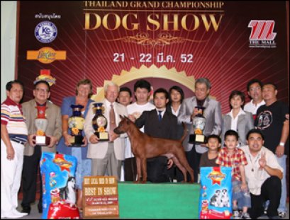 BISS.BIS.TH.GRAND CH.TAWAN NAMFAH DAENG-PLUANG@SIAM