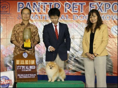 TH.CH.TICKER BY BANN-THAMMA WECH