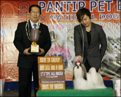 TH.CH.HEARTY'S BEAUTY SEXY NAUGHTY