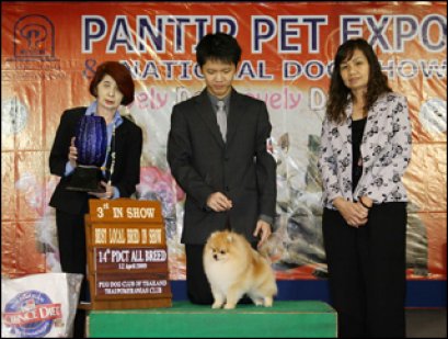 TH.CH.TICKER BY BANN-THAMMA WECH