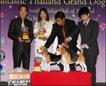 Th.Ch.Perfect Companion's Tender Luv and Care Taro