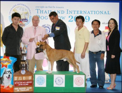 AM.TH.GRAND CH. DOGGY WORLD'S APPLE JACK JUNIOR