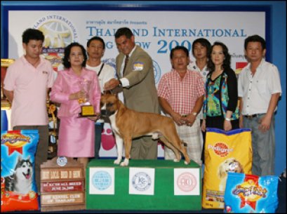 AM.TH.GRAND CH. DOGGY WORLD'S APPLE JACK JUNIOR