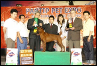 BISS.BIS.TH.GRAND CH.TAWAN NAMFAH DAENG-PLUANG@SIAM