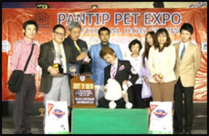 TH.AM.CH.HELLS A BLAZEN SIMPLY THE BEST