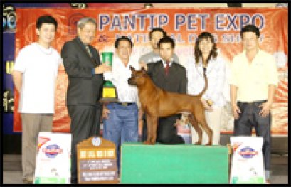 BISS.BIS.TH.GRAND CH.TAWAN NAMFAH DAENG-PLUANG@SIAM