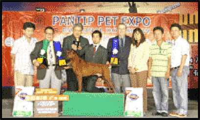 BISS.BIS.TH.GRAND CH.TAWAN NAMFAH DAENG-PLUANG@SIAM