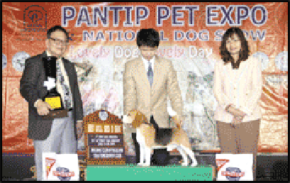 Int.Th.Ch.Perfect Companion's Tender Luv&Care Taro