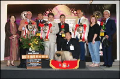 TH.CH.SW S MR. GORGEOUS