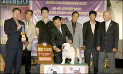 AM.CH.MOUSERS SITTING BULL