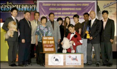 TH.AM.CH.HELLS A BLAZEN SIMPLY THE BEST