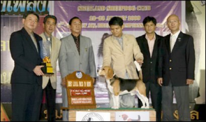 TH.CH.CAESAR'S SUPER DANCE