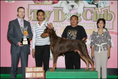 TH.CH.R.S.RED DRAGON