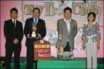 TH.CH.AMATA S EYES AN EYES