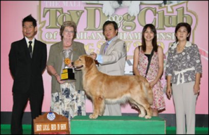 TH.CH.GOLDEN ARMY N GOLD SMITHS POSSIE