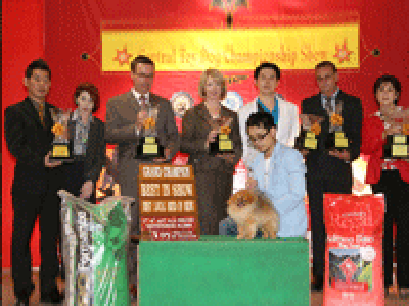 TH.CH.STARLIGHT S DREAM COMES TRUE