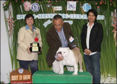 ENG.TH.GRAND CH.CAROZKEN CHARMER SEALAVILLE