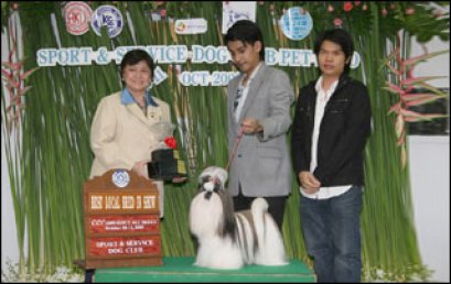 TH.CH.HEARTY'S HIPPY HIPPY SHAKE