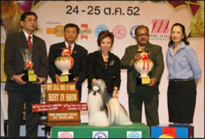 TH.CH.HEARTY'S HIPPY HIPPY SHAKE