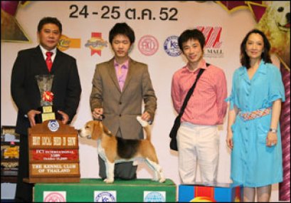 INT.TH.CH.PERFECT COMPANION'S TENDER LUV AND CARE TARO