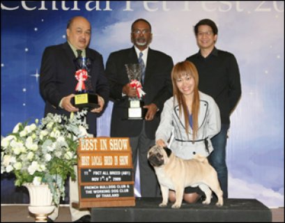 WR.EUR.INT.SL.TH.GRANDCH.WOODSTOCK UN.,LTD WOODNOTE SYMPHONY