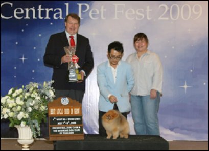 TH.CH.STARLIGHT'S DREAM COMES TRUE