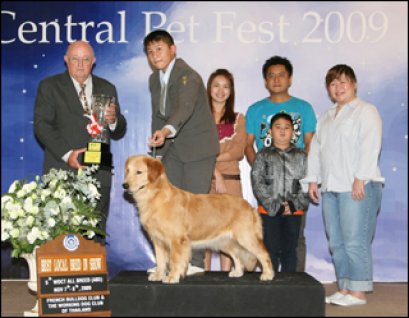 TH.CH.GOLDEN ARMY N GOLD SMITH'S POSSIE