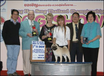 TH.GRAND.CH.WOODSTOCK UN.,LTD WOODSMAN PARADE