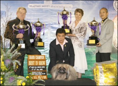 INT.TH.GRAND.CH.PAKS STRIKE ON TARGET