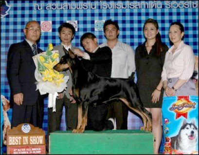 BADEN BADEN DONATELLA